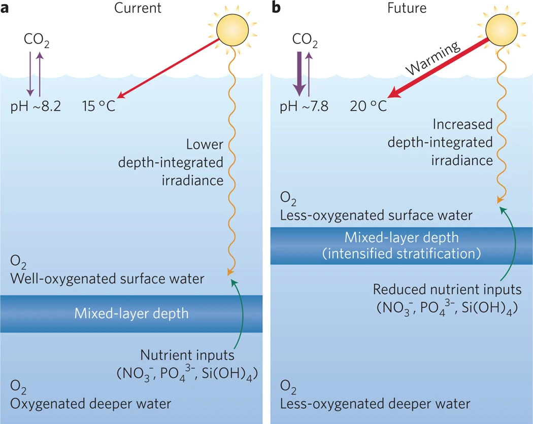 人为全球变化对影响海洋浮游微生物生长和群落组成的关键化学和物理因素的影响