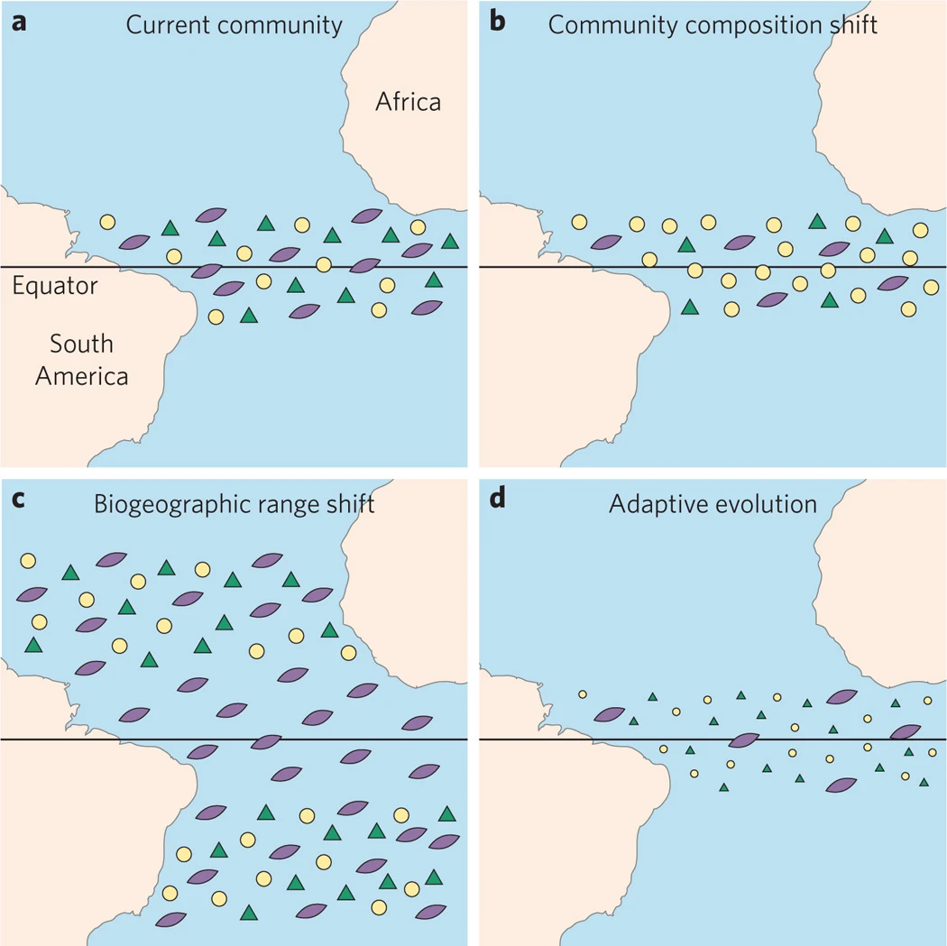模型浮游植物群落对气候变化的可能生物反应