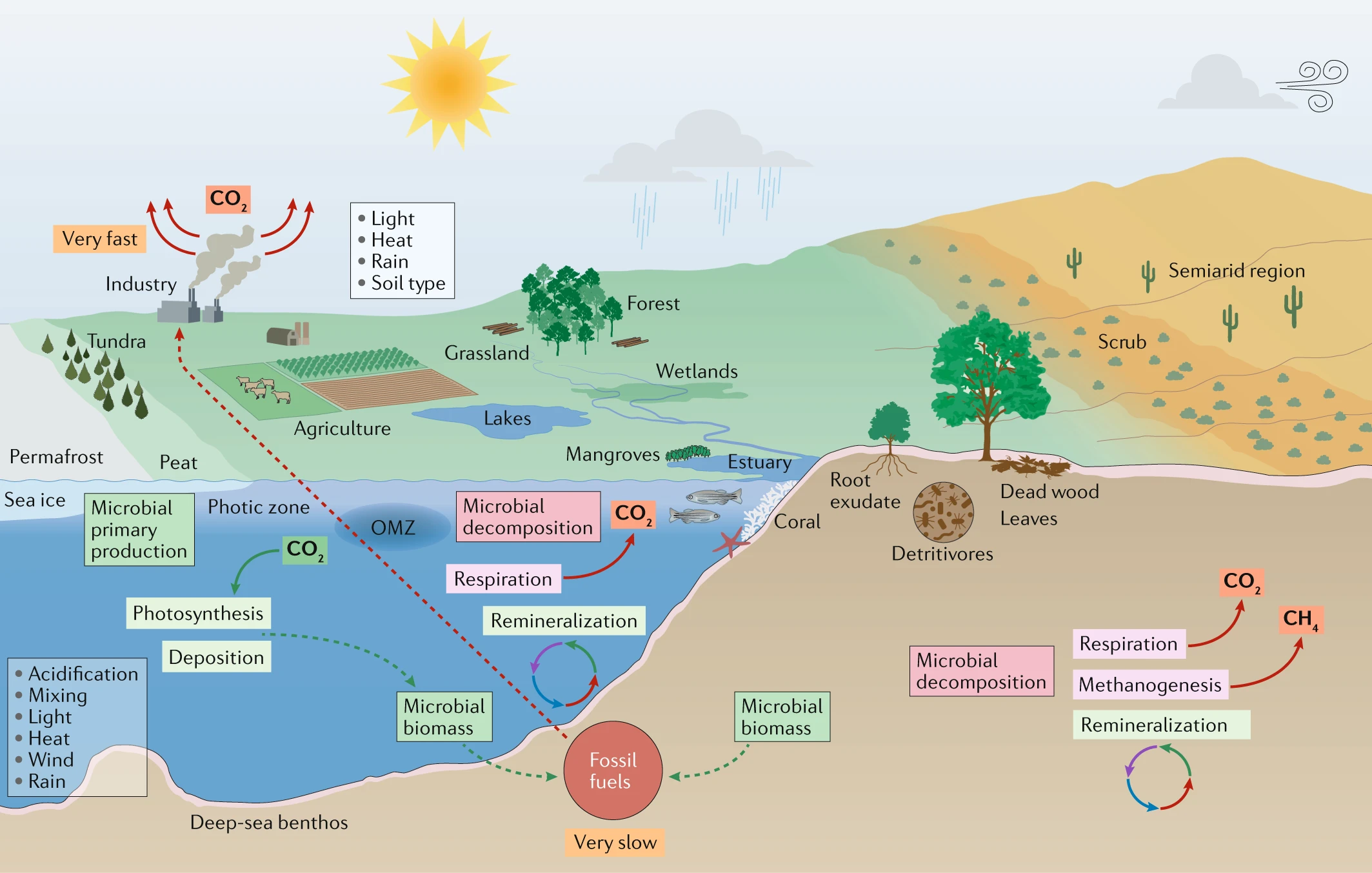海洋和陆地生物群落中的微生物和气候变化