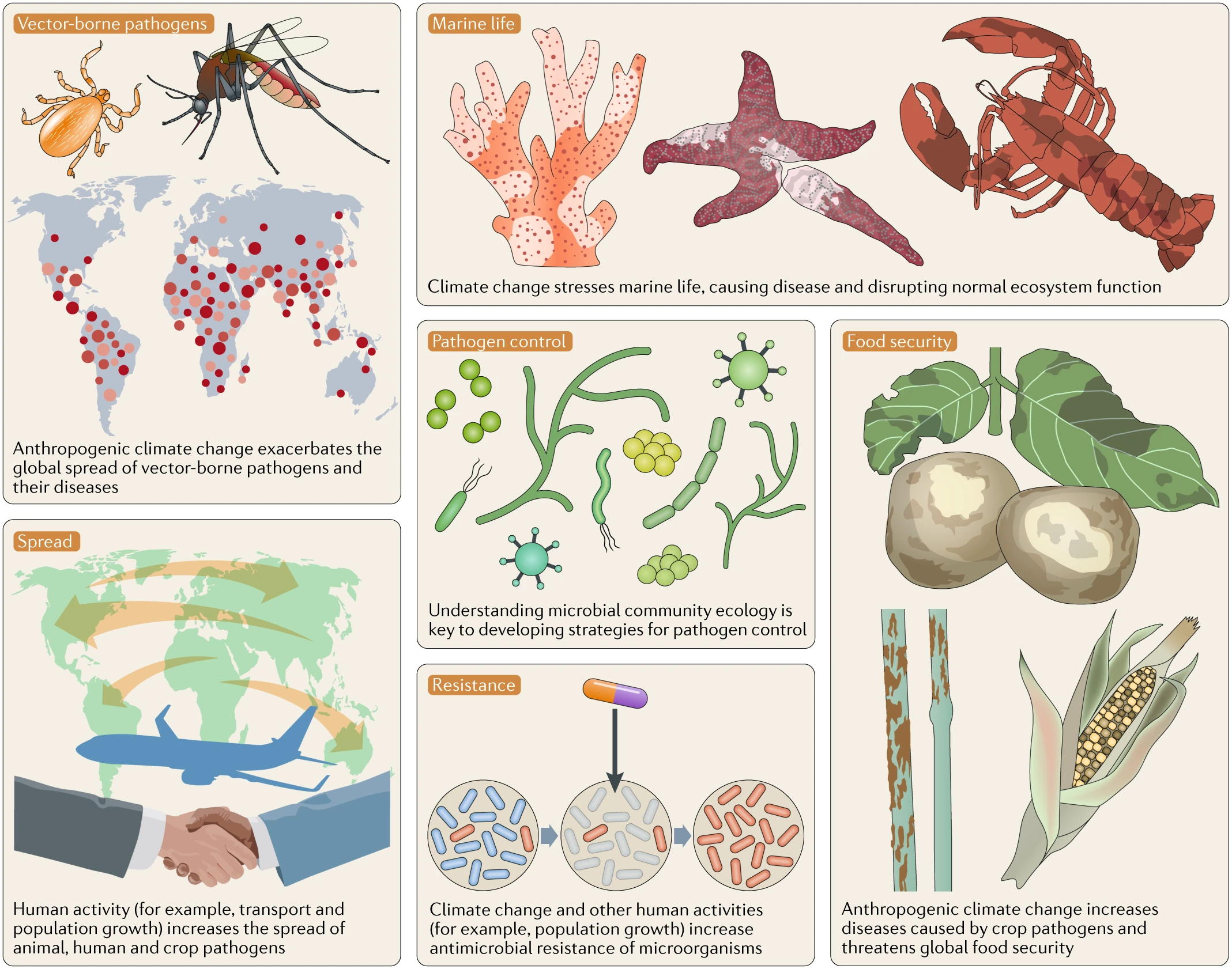气候变化加剧病原体的影响