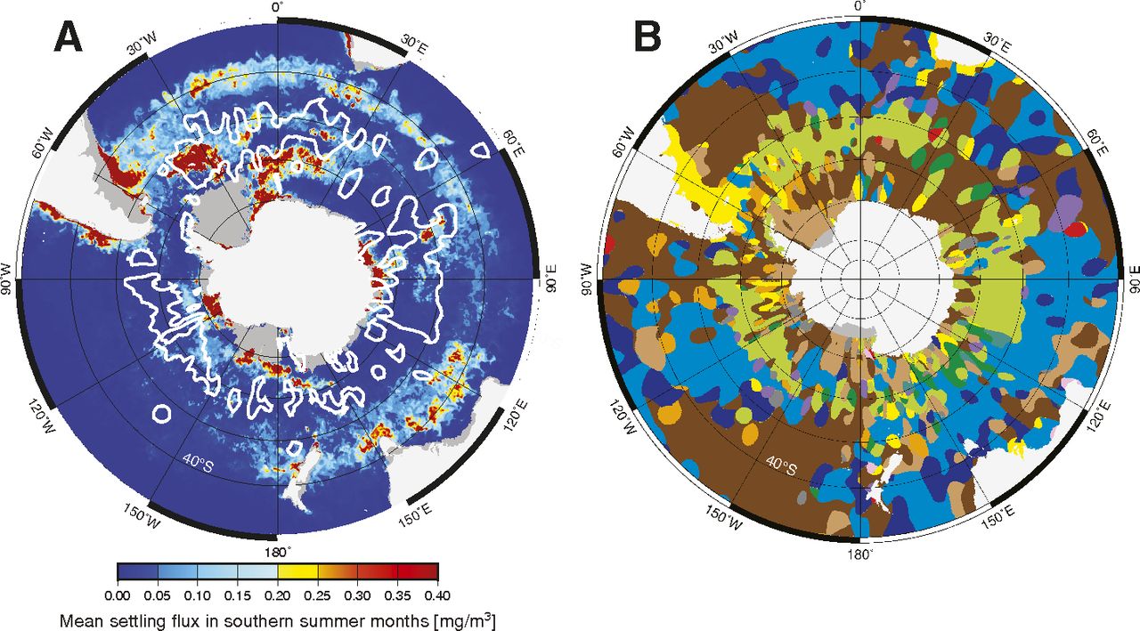 南大洋中生物硅质渗出物与硅藻叶绿素浓度的关系